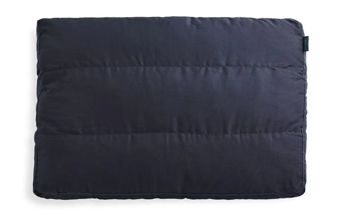 Sactionals Back Pillow Insert: Lovesoft
