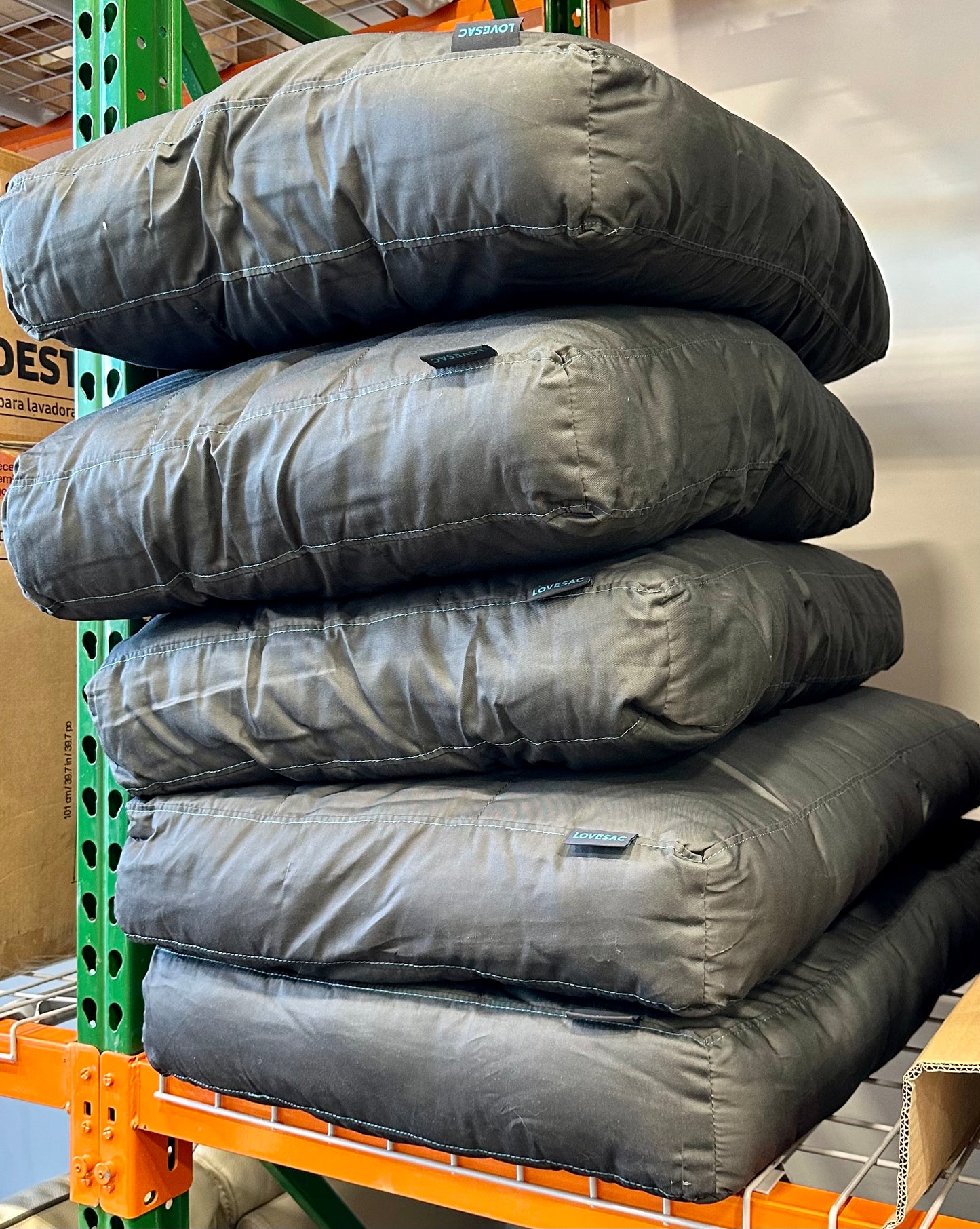 Sactionals Back Pillow Insert: Lovesoft
