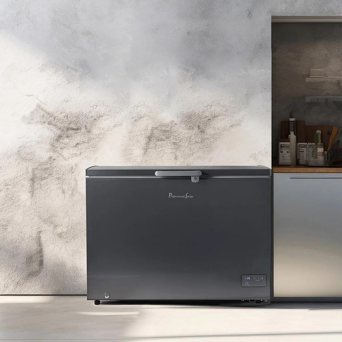 Professional Series Garage Ready 10.0 cu. ft. Chest Freezer