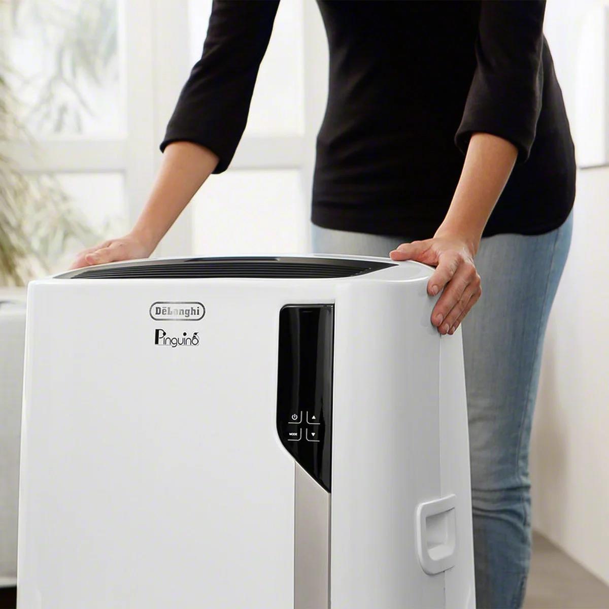 De'Longhi Pinguino 4-in-1: Air Conditioner, Heater, Dehumidifier, and Fan