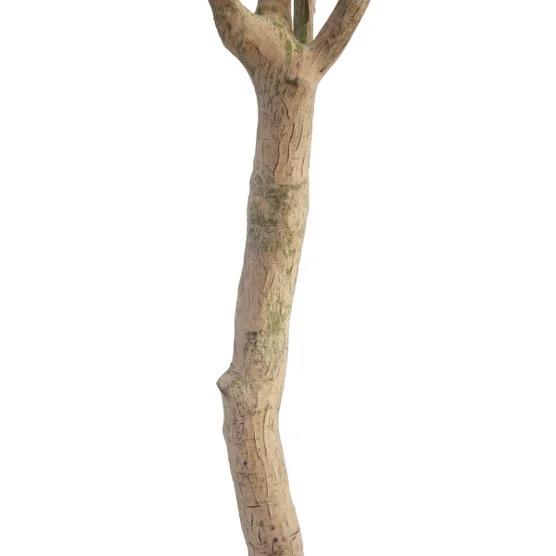 Faux 6.5' Olive Tree