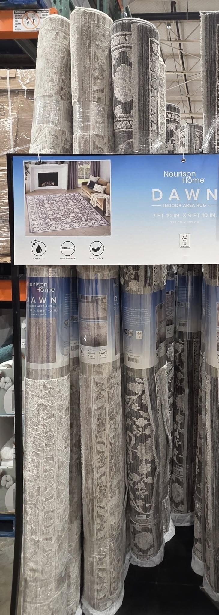 Nourison Dawn Area Rug 7'10" x 9'10"