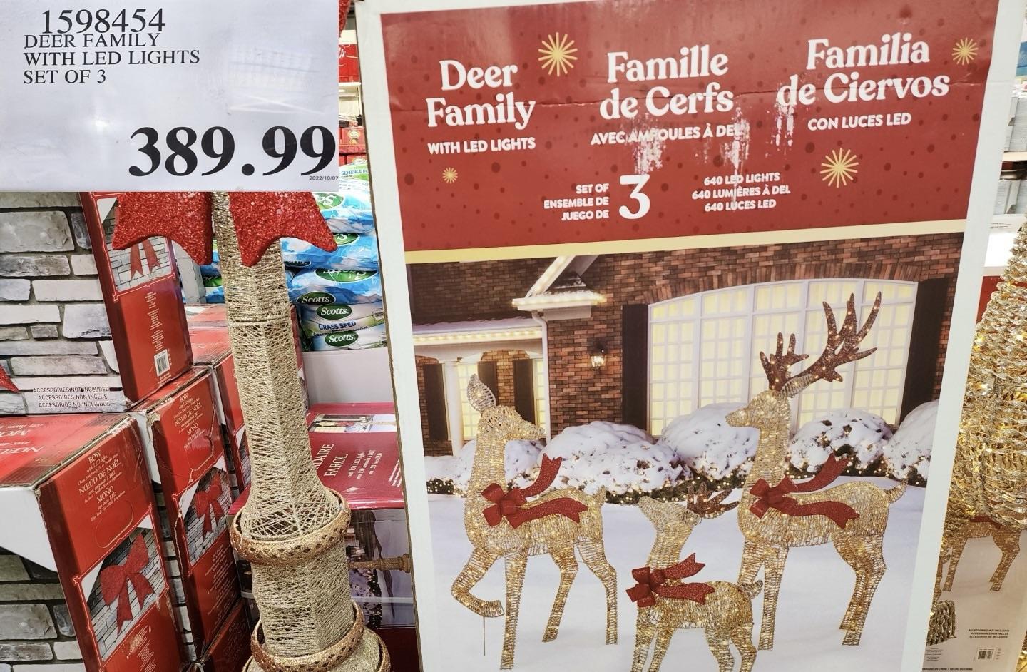 Set of 3 LED Deer Family