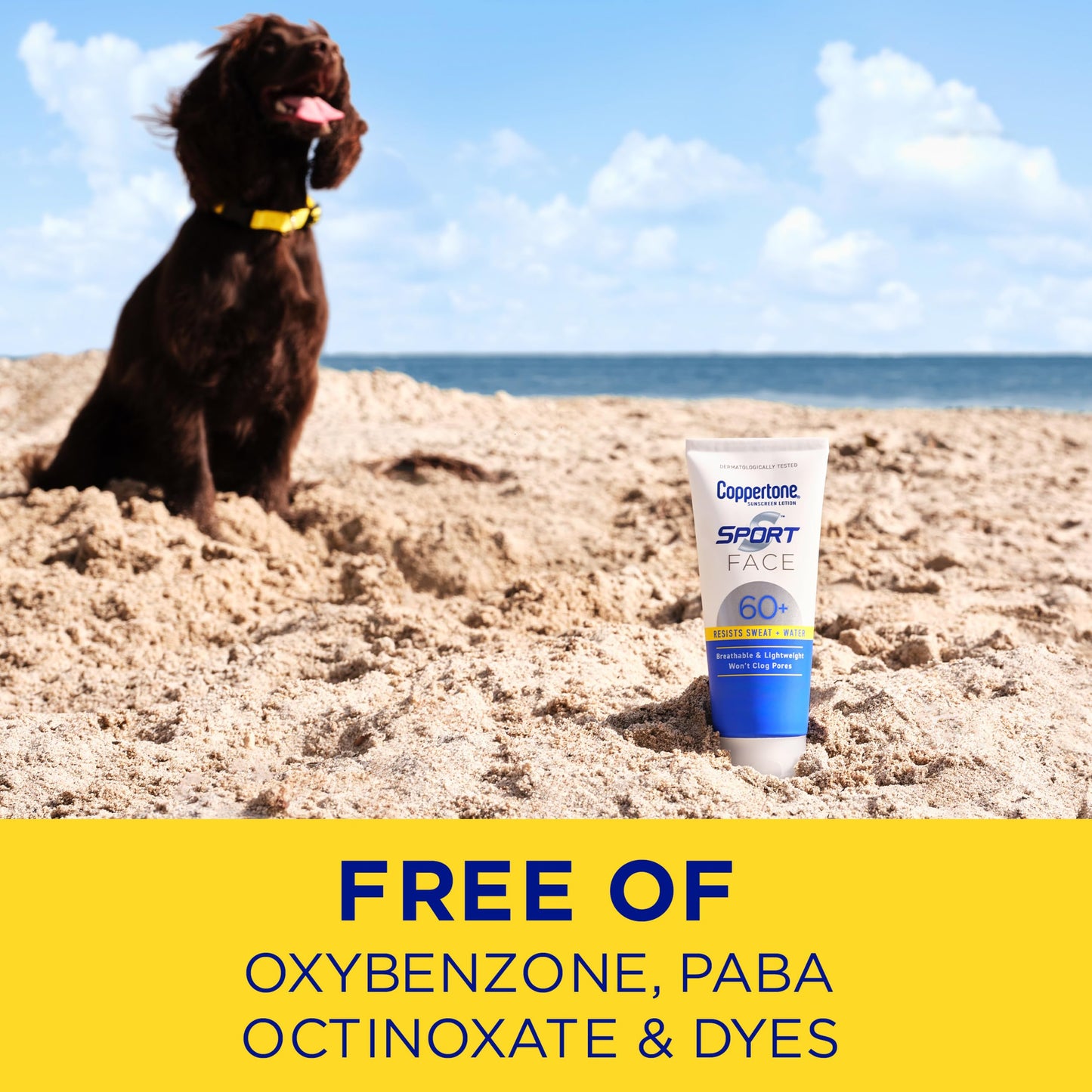 Coppertone Sport Face Sunscreen Lotion SPF 60+, Water Resistant Sunscreen with Broad Spectrum SPF 60+, Lightweight and Breathable, 2.5 Fl Oz Tube
