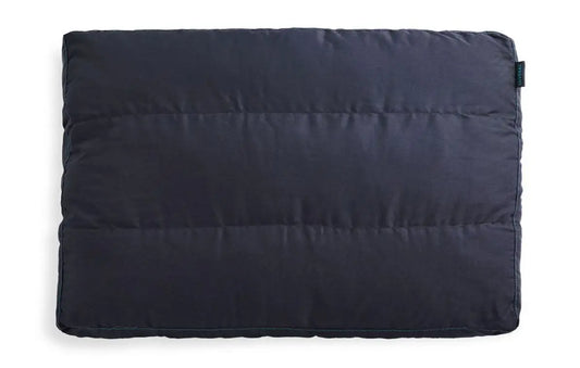 Sactionals Back Pillow Insert: Lovesoft