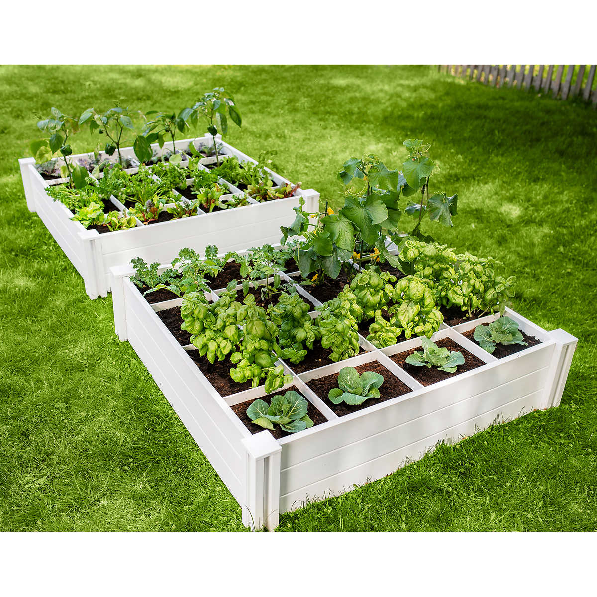 Vita 4'x4'x11" Modular Vinyl Garden with Planting Grid 2-pack