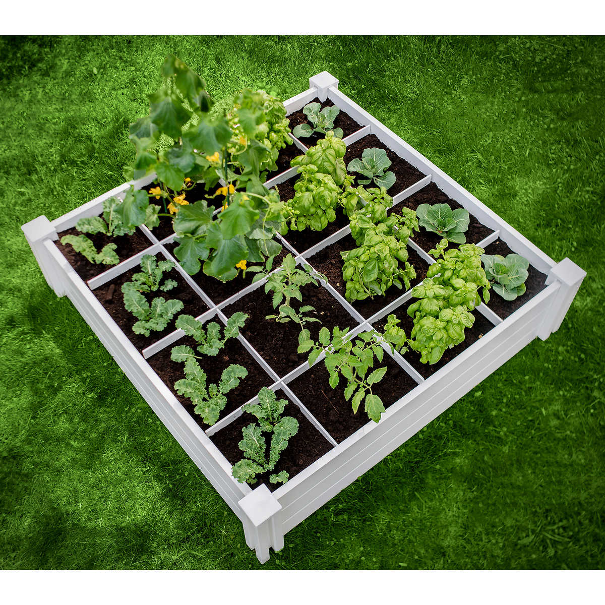 Vita 4'x4'x11" Modular Vinyl Garden with Planting Grid 2-pack