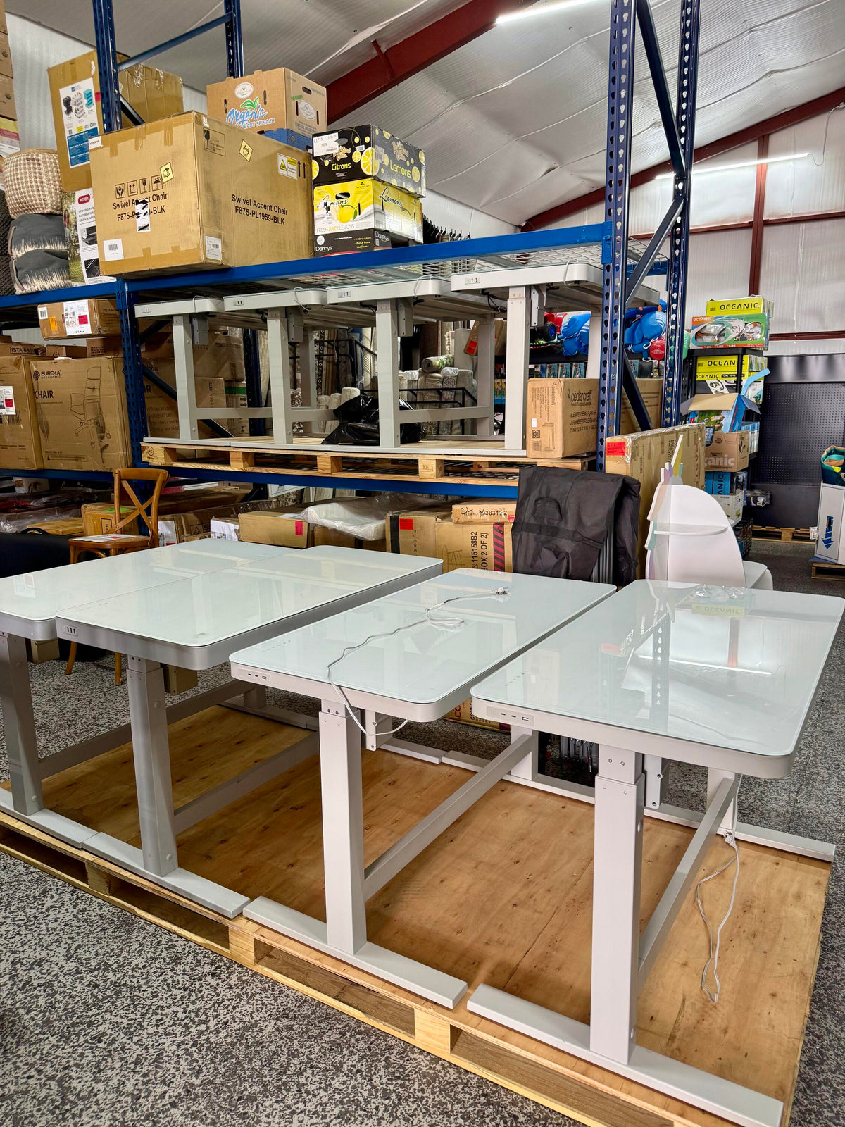 Tresanti Adjustable Height Desk
