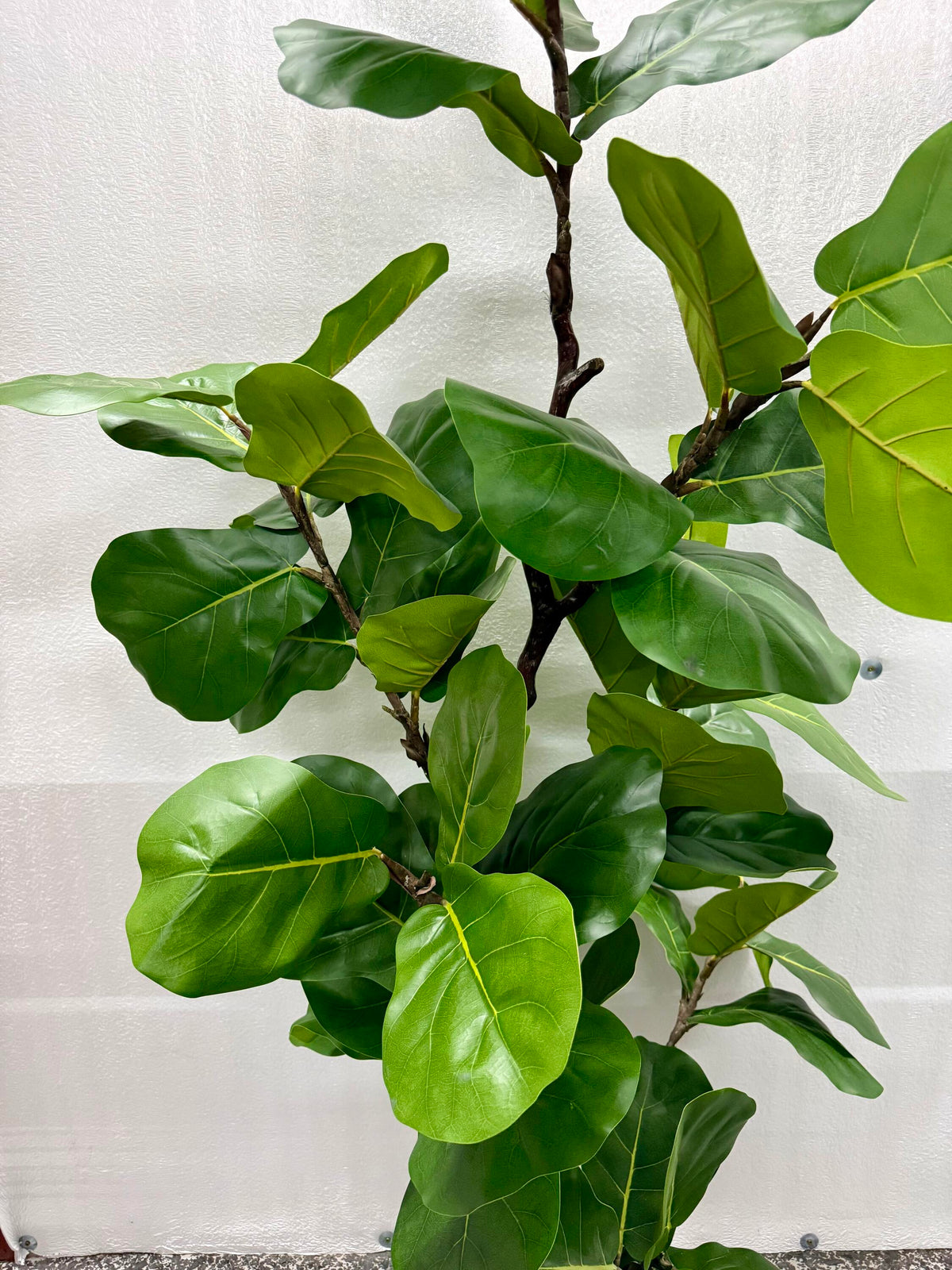 Faux 6.5' Fig Tree