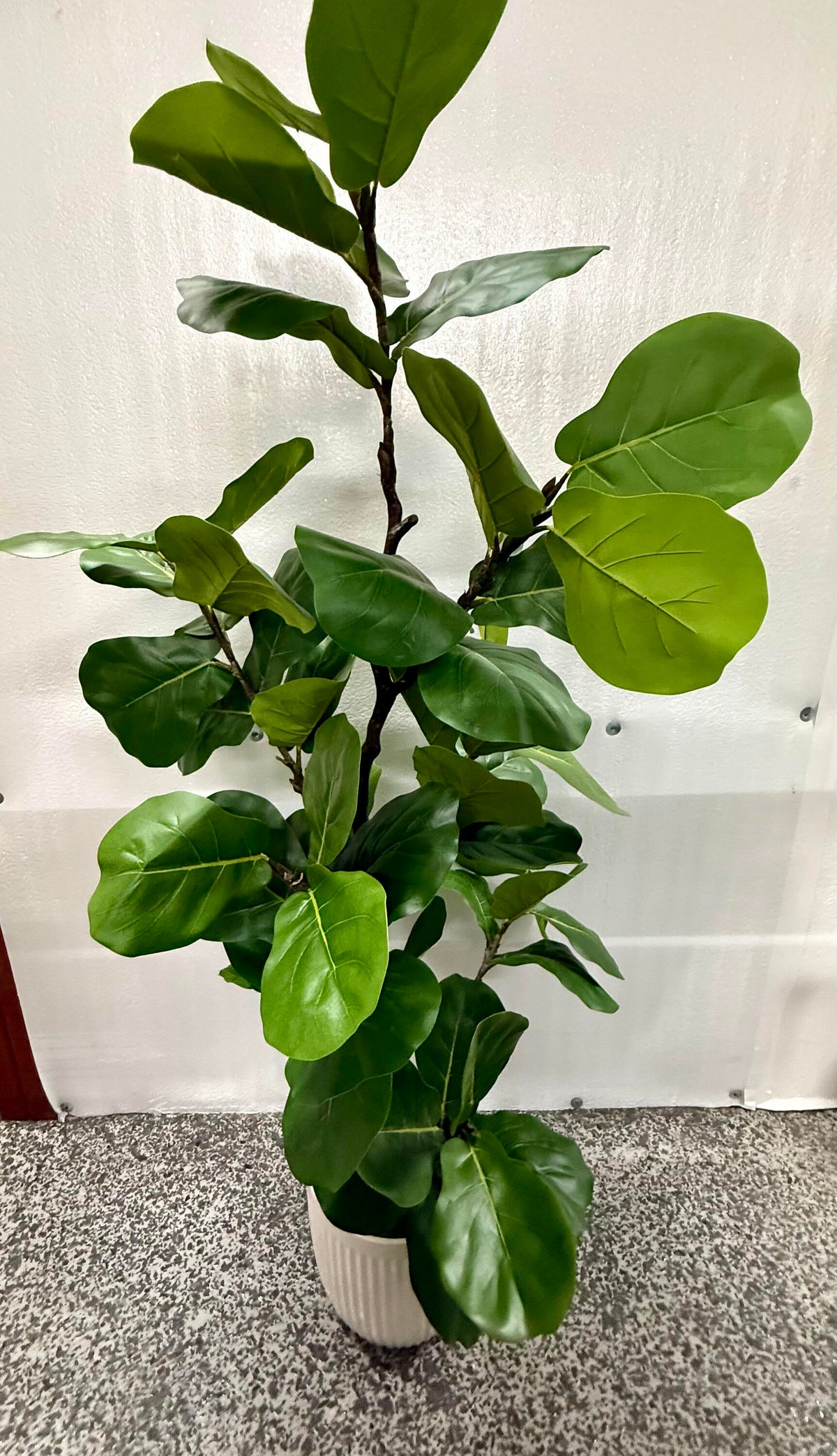 Faux 6.5' Fig Tree
