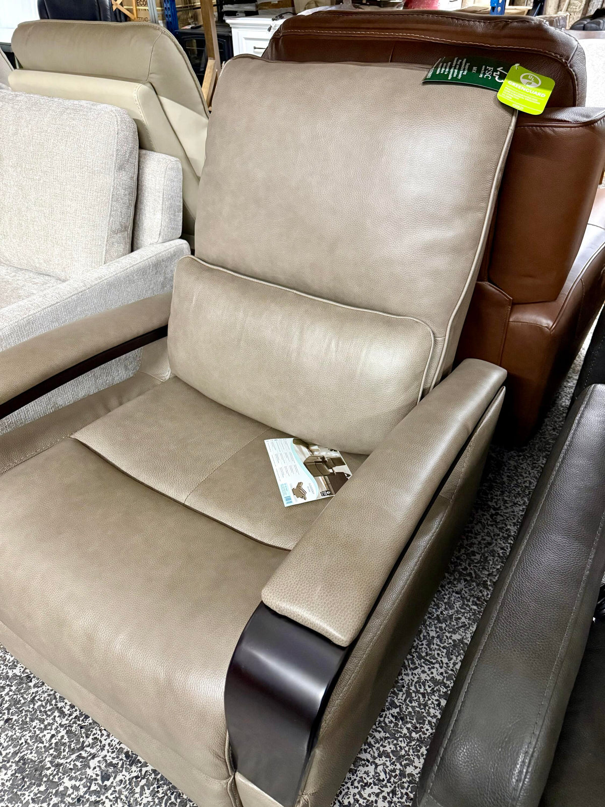 Shayne Leather Power Recliner with Power Headrest