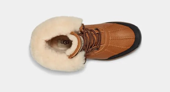 Adirondack III Boot Women's - Chestnut