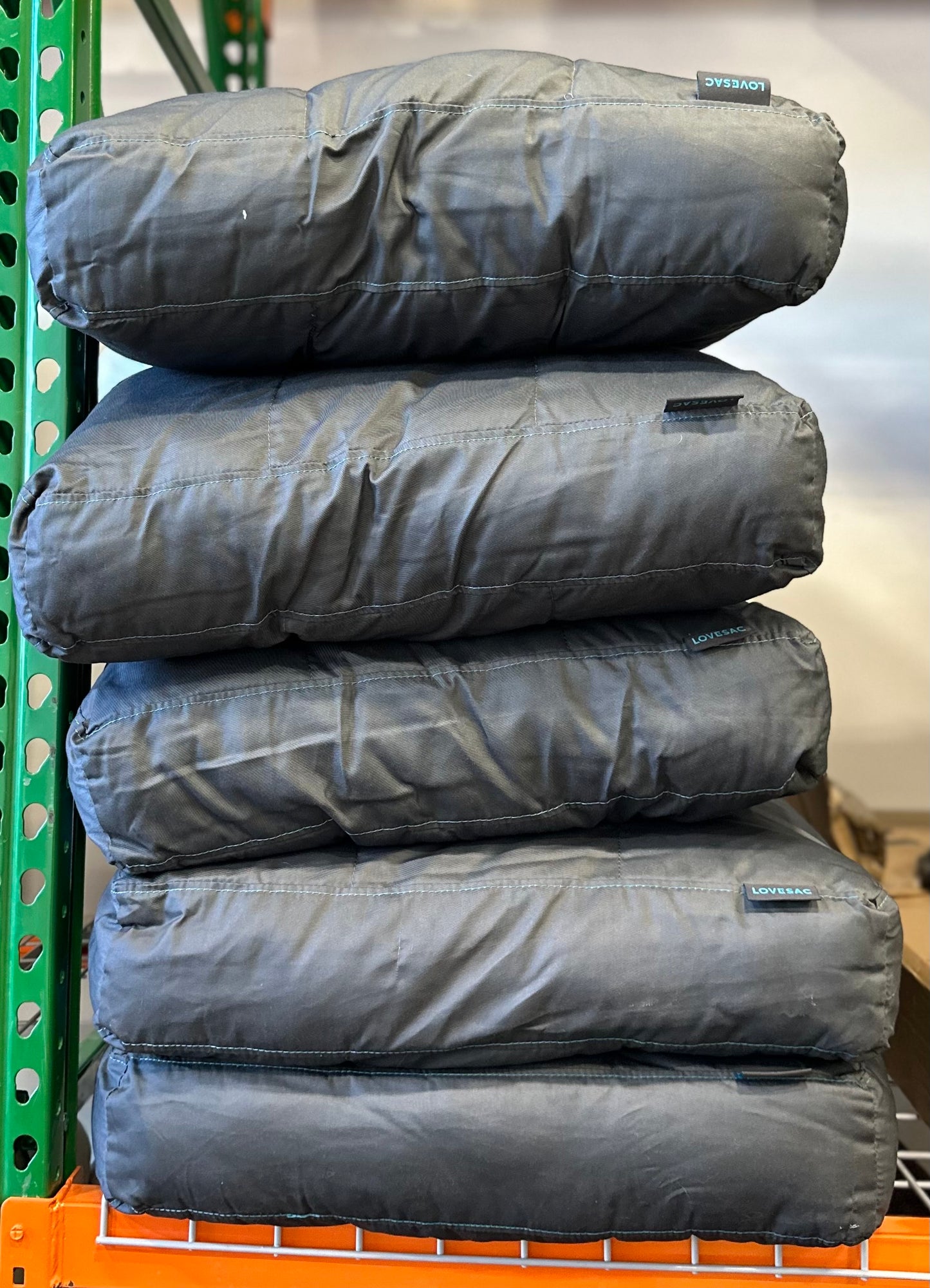 Sactionals Back Pillow Insert: Lovesoft