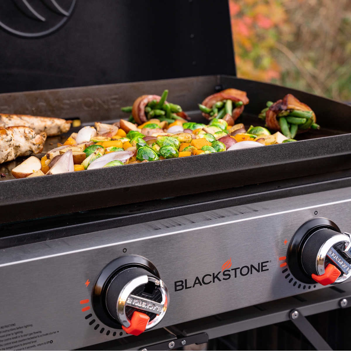 Blackstone Original 22in Griddle w/Hood and Carry Bag