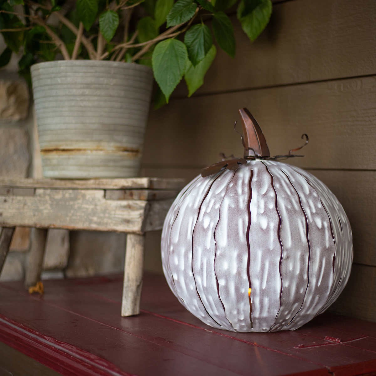 Desert Steel Coffee/Expresso Pumpkin Luminary Set, 18″ Halloween Decor