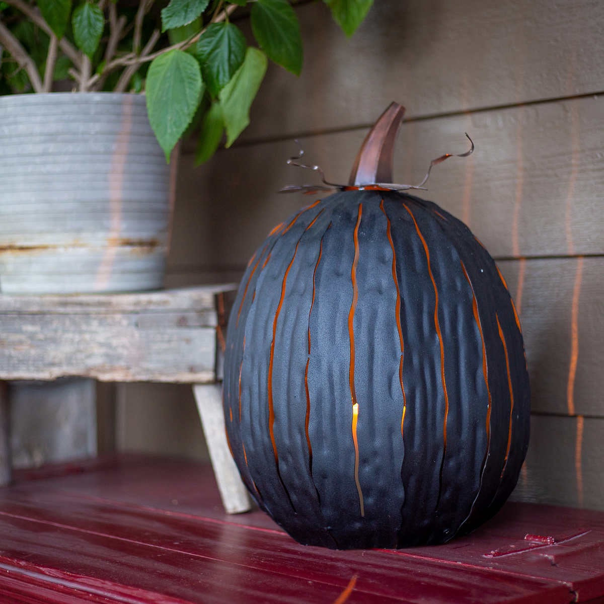 Desert Steel Coffee/Expresso Pumpkin Luminary Set, 18″ Halloween Decor