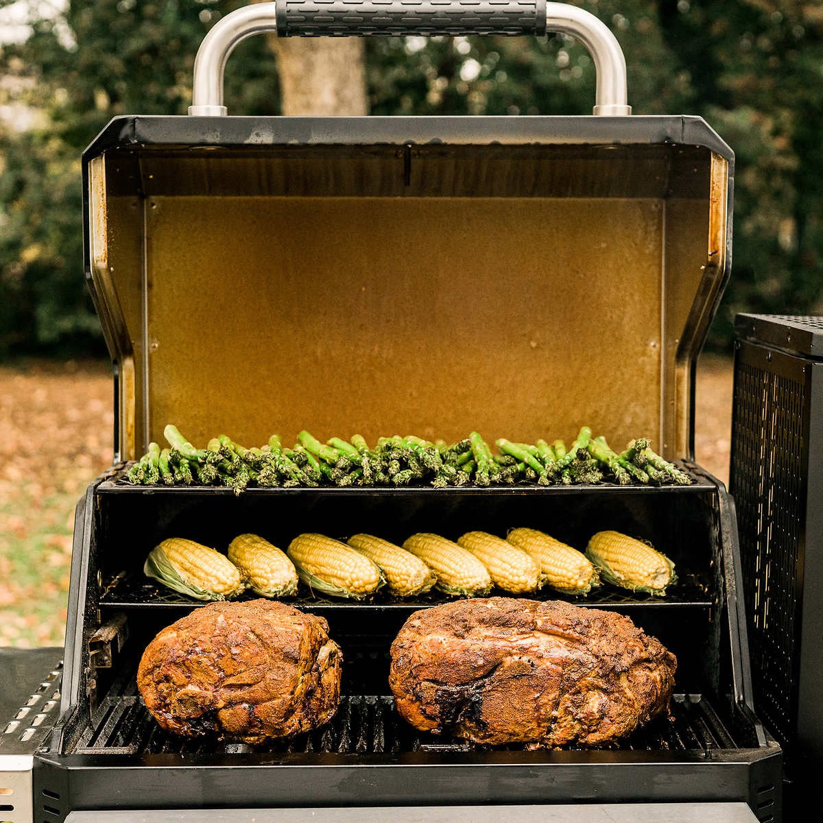 Masterbuilt Gravity Series 800 Charcoal Grill