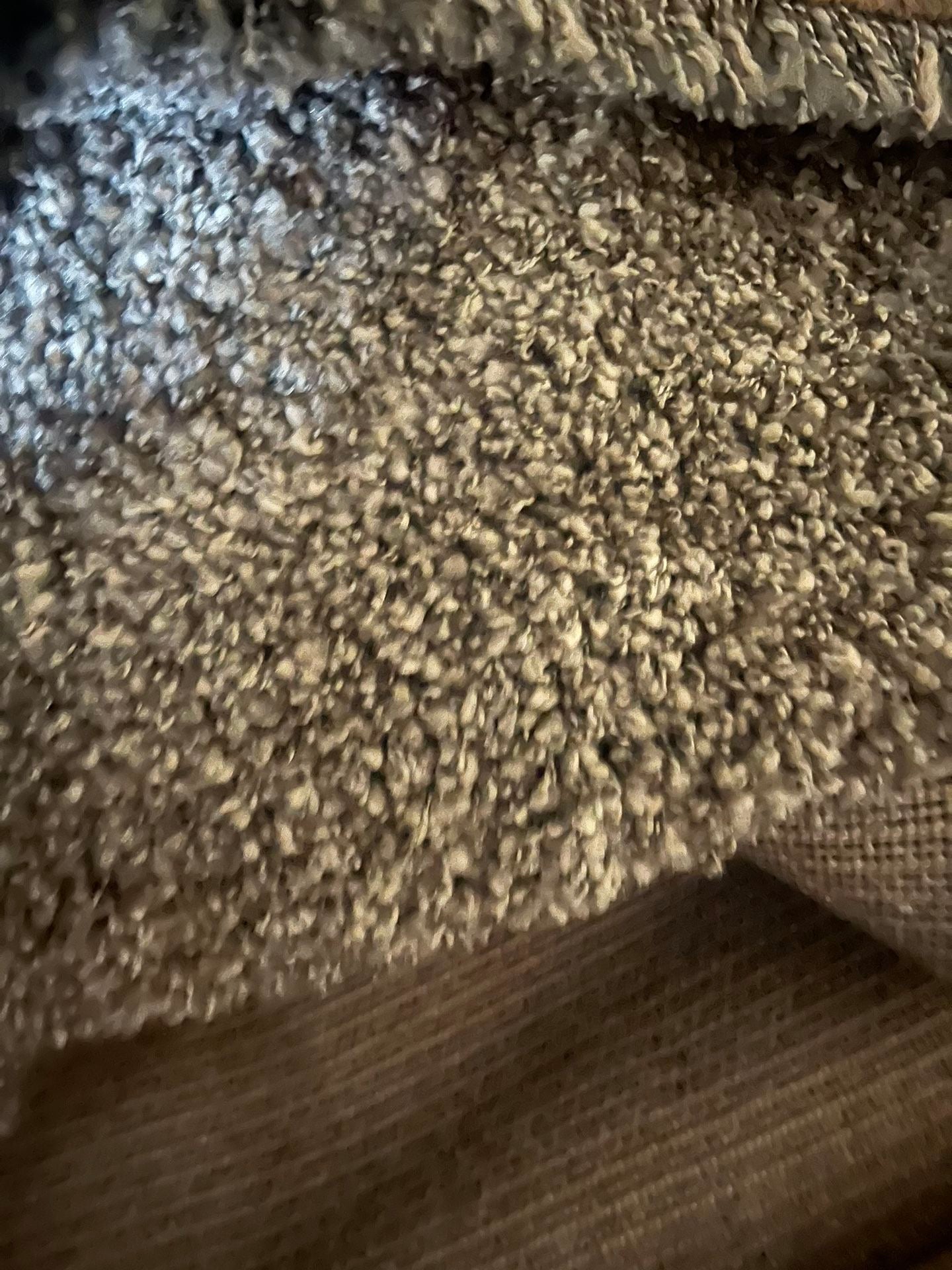 Thomasville Marketplace Luxury Shag Rugs Gray Rug Size: 5 ft. 3 in. x 7 ft. 5 in.