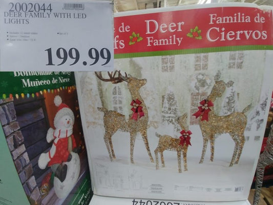 Led Deer Family Set of 3