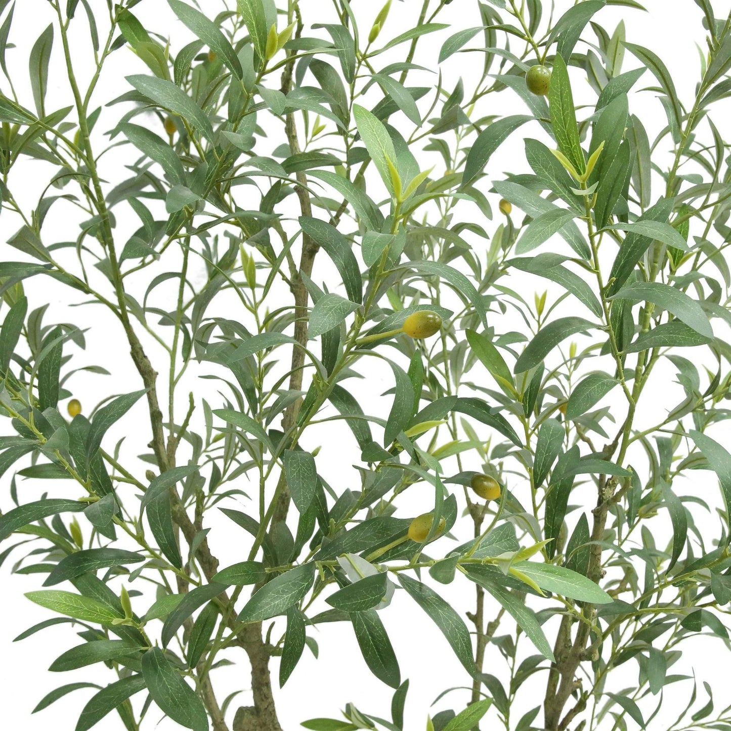 C.G. Hunter Faux 6.5' Olive Tree