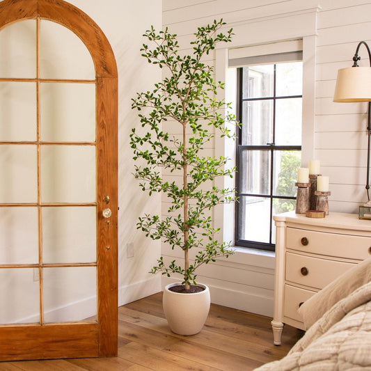 Faux 6.5' Black Olive Tree