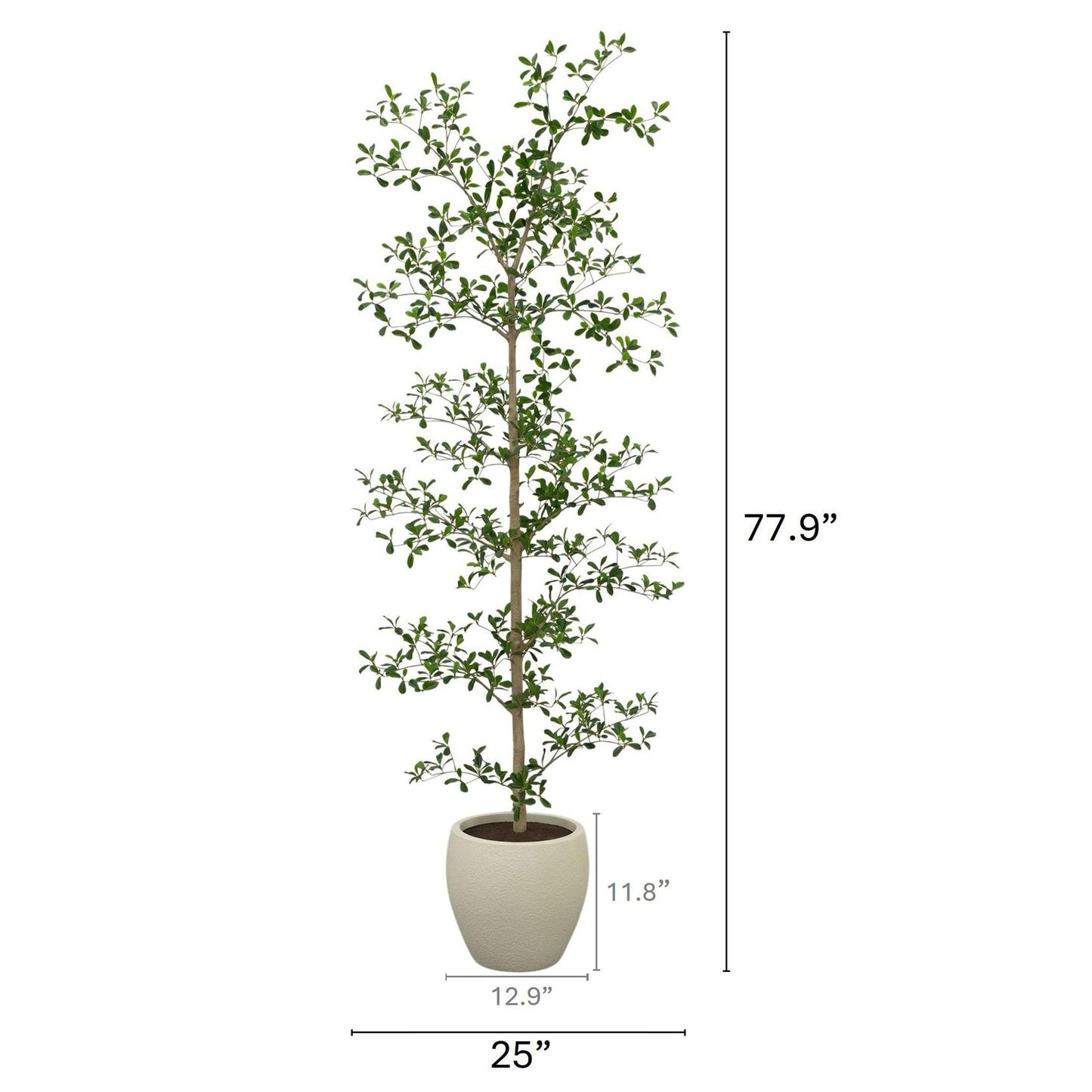 Faux 6.5' Black Olive Tree