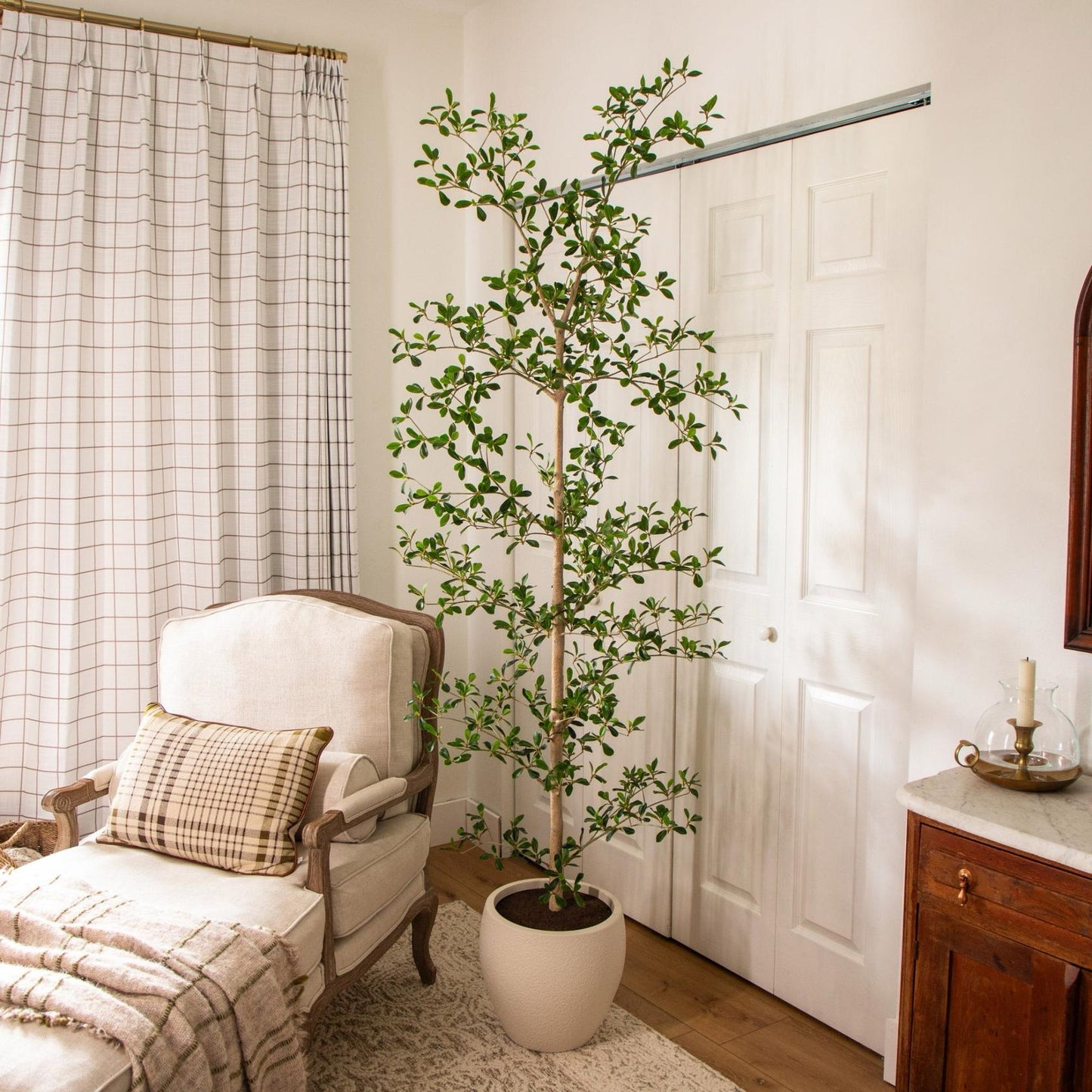 Faux 6.5' Black Olive Tree