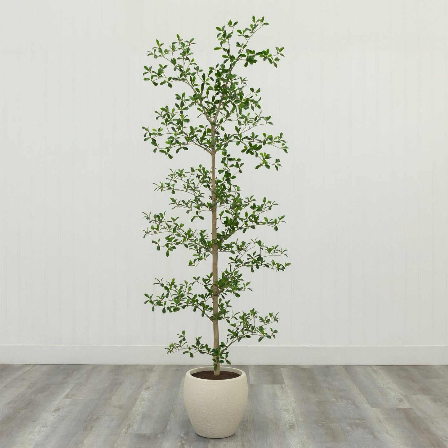Faux 6.5' Black Olive Tree