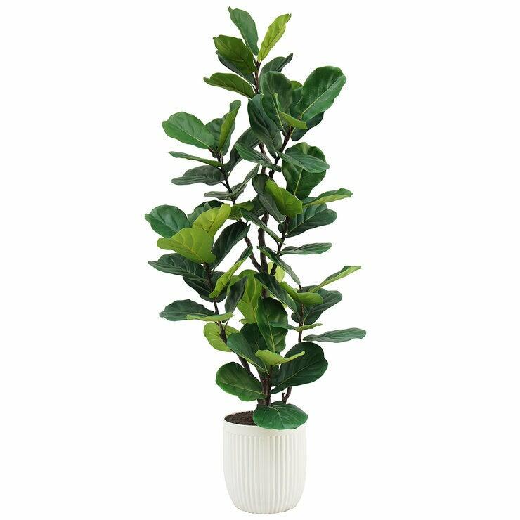 Faux 6.5' Fig Tree