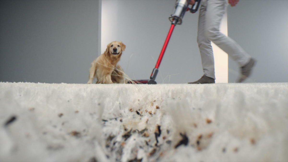 Dyson Outsize Motorhead Cordless Stick Vacuum