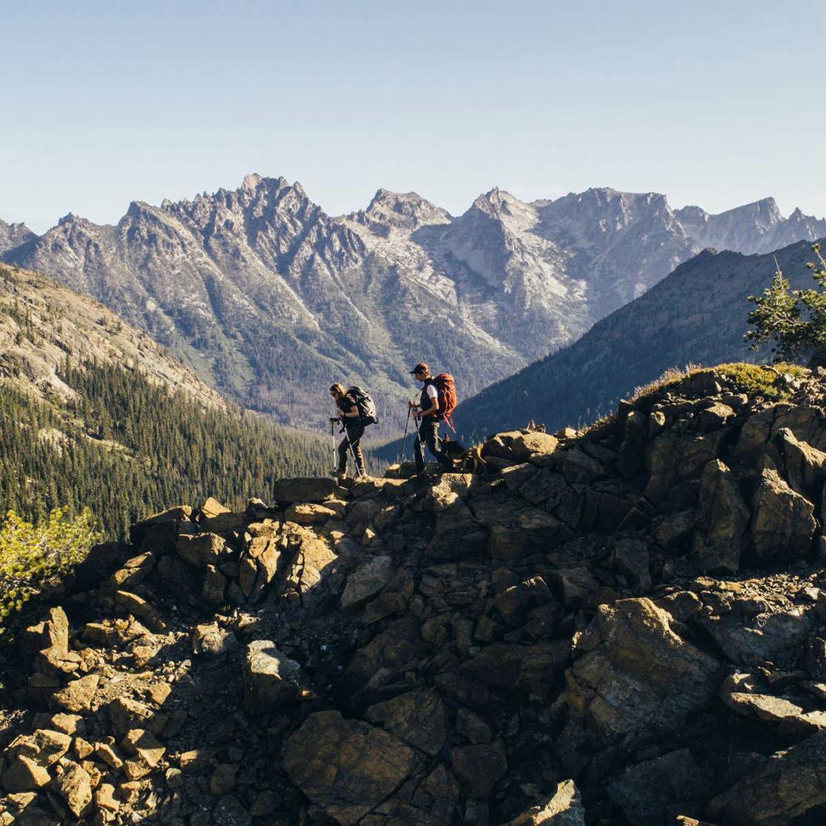 Cascade Mountain Tech Carbon Fiber Trekking Poles