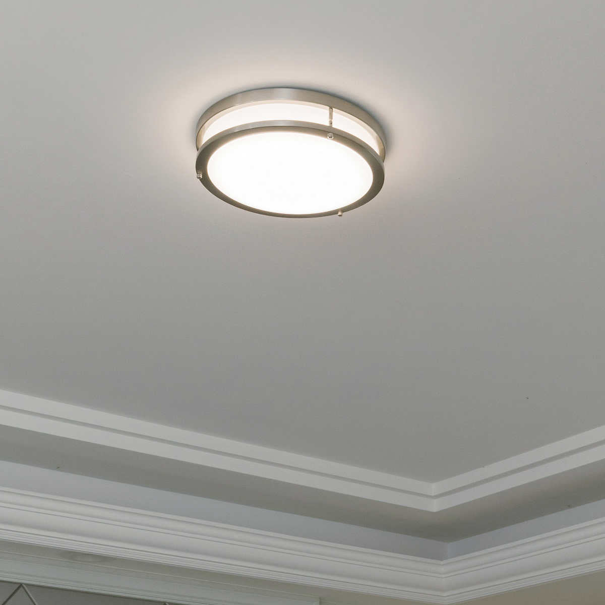 Energetic Lighting 14" LED Flush Mount Fixture