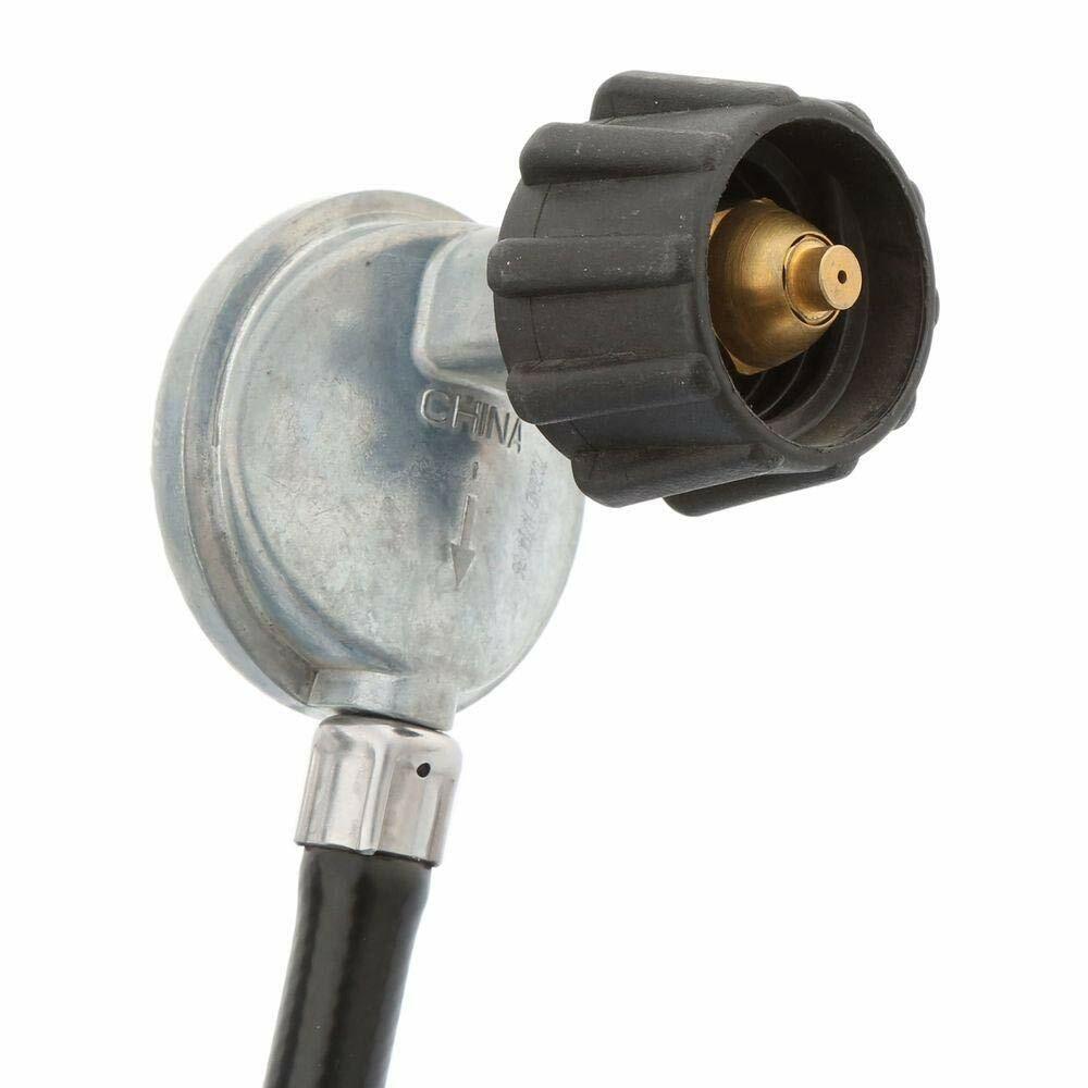 2-Burner Stainless Steel Table Top Portable Propane Gas Grill