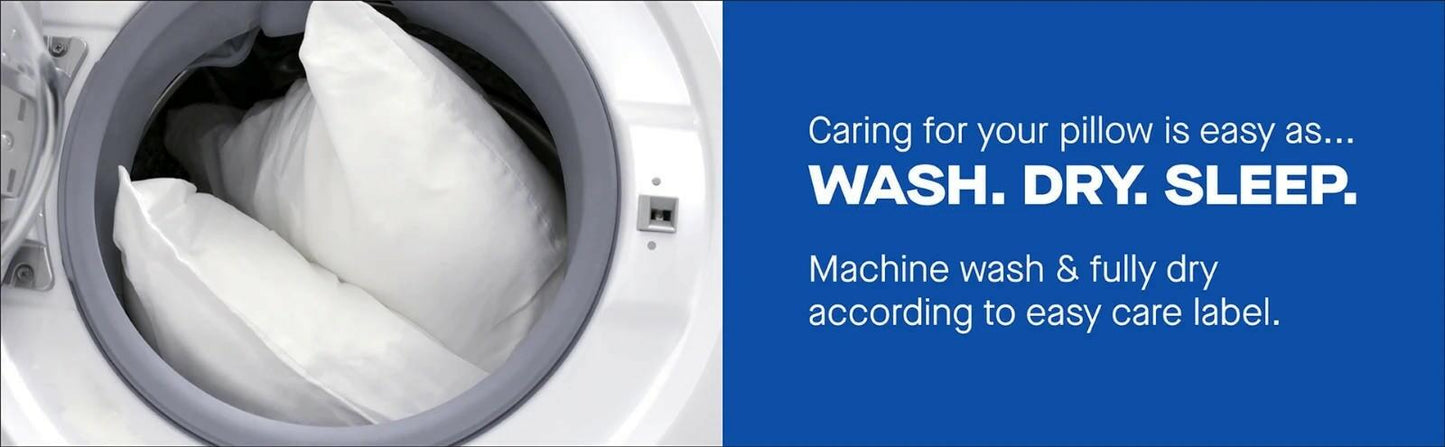 Sealy Sterling Collection Down-Alternative Pillow, 2-pack Standard